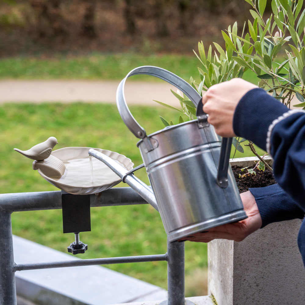 Balkon-Vogeltränke Balus - olivgrün | CJ Wildlife